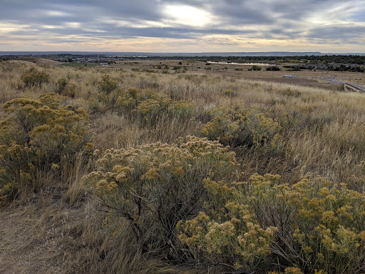 Golf Club «Bear Creek Golf Club», reviews and photos, 12201 Morrison Rd, Denver, CO 80228, USA