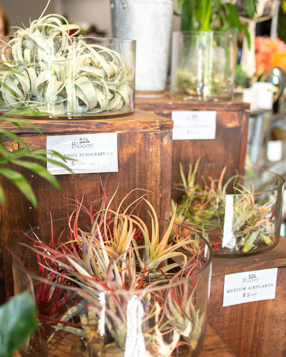 Florist «In Bloom Florist- Orlando, Florida», reviews and photos, 325 W Gore St, Orlando, FL 32806, USA