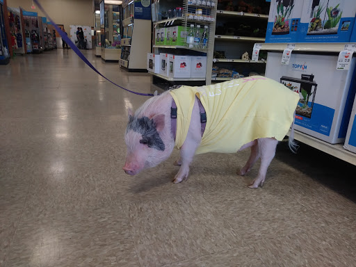 Pet Supply Store «PetSmart», reviews and photos, 310 N White Horse Pike, Lawnside, NJ 08045, USA