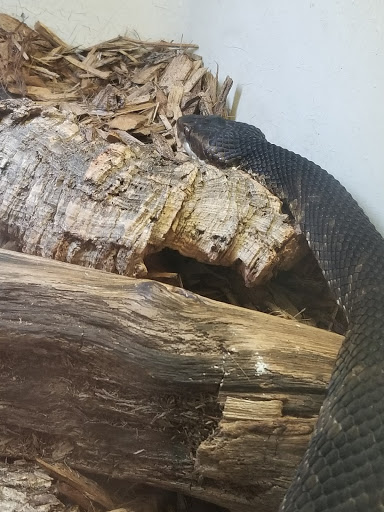 Zoo «Memphis Zoo», reviews and photos, 2000 Prentiss Pl, Memphis, TN 38112, USA