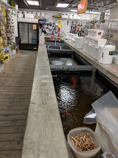 Fishing Store «Thorne Bros Custom Rod & Tackle And The Fly Angler», reviews and photos, 10091 Central Ave NE, Blaine, MN 55434, USA