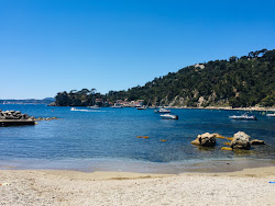 Foto di Plage de Magaud con più baie spaziose