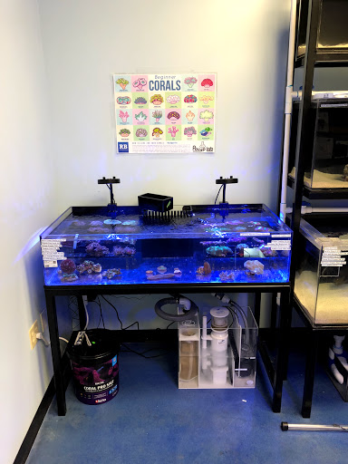 Aquarium «Artistic Aquariums, Inc», reviews and photos, 3400 N Arizona Ave #111, Chandler, AZ 85225, USA