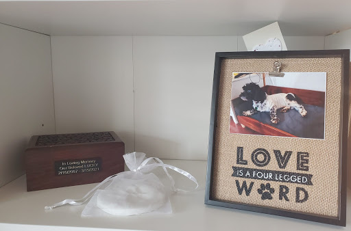 Pet Cemetery «Deceased Pet Care Chamblee», reviews and photos, 4991 Peachtree Rd, Chamblee, GA 30341, USA