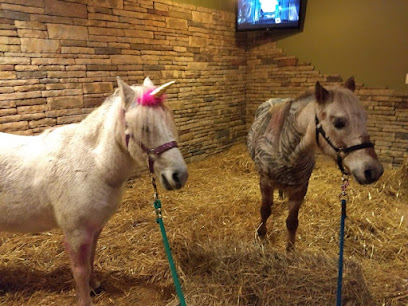 Amazing Pony Rides and Petting Farm, LLC