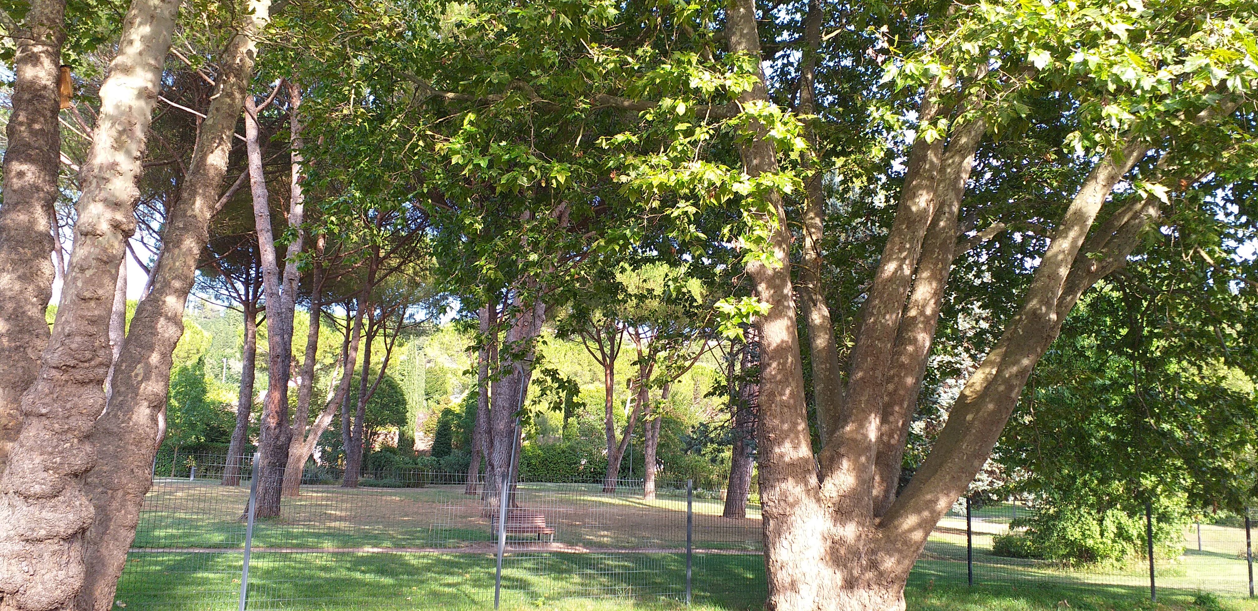 Photo n° 2 de l'avis de Lalie.e fait le 15/08/2020 à 17:42