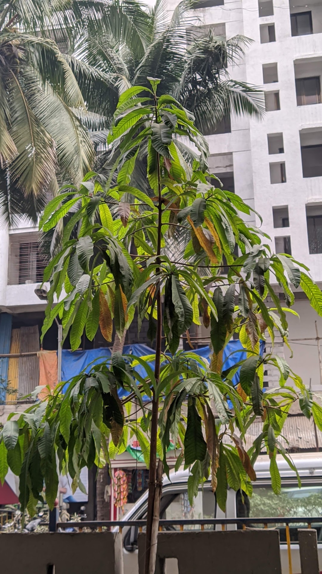 Sai Krishna Kunj