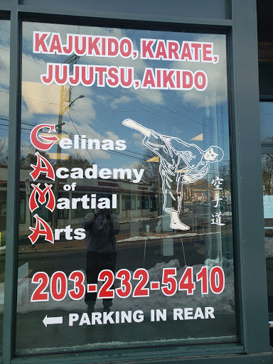 Gelinas Academy of Martial Arts