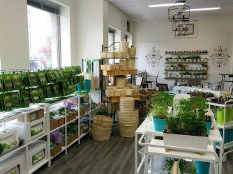 Tiny Greens Plant Shop & Drop-in Planting Studio - Planting Parties and Events