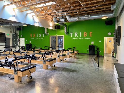 TRIBE Fitness