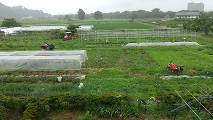農家民泊・三浦ぶどう園