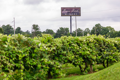 Winery «Beans Creek Winery», reviews and photos, 426 Ragsdale Rd, Manchester, TN 37355, USA