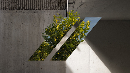 CEMEX CONCRETOS Planta Norte