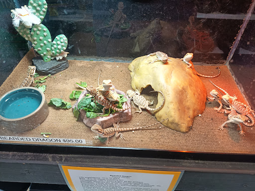 Pet Store «Parker Exotic Pets», reviews and photos, 17880 Cottonwood Dr, Parker, CO 80134, USA