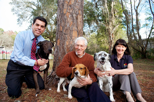 Personal Injury Attorney «Fine, Farkash & Parlapiano, P.A.», reviews and photos