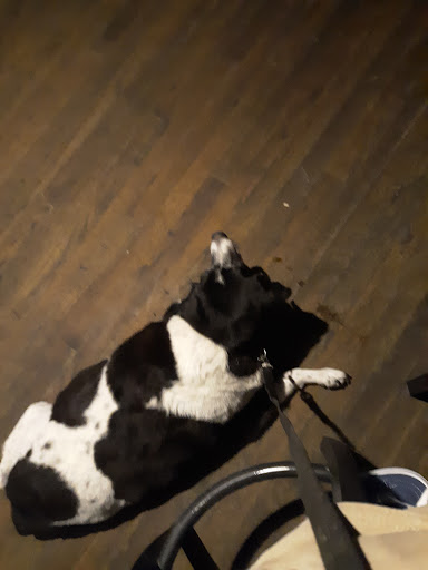 Gift Shop «Little Village», reviews and photos, 2808 W 12th St, Panama City, FL 32401, USA