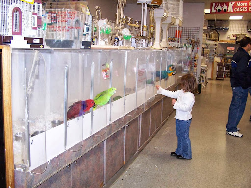 Bird Shop «Angels Bird Jungle», reviews and photos, 1031 Broad St, Shrewsbury, NJ 07702, USA