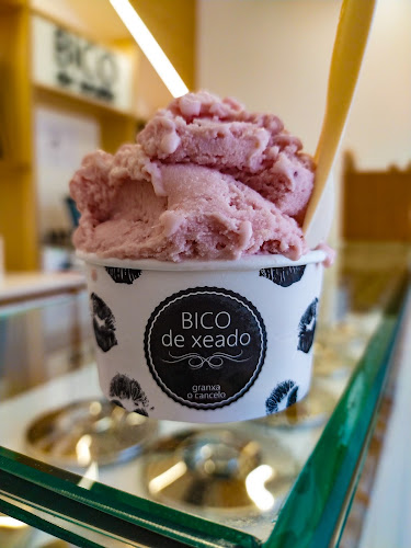 Bico de Xeado