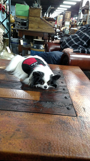 Home Goods Store «Laguna Madre Traders», reviews and photos, 7010 TX-78, Sachse, TX 75048, USA