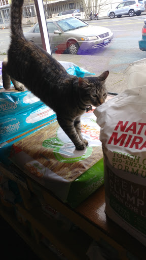 Pet Store «Next to Nature», reviews and photos, 1624 Tacoma Ave S, Tacoma, WA 98402, USA