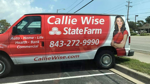 Insurance Agency «Callie Wise - State Farm Insurance Agent», reviews and photos