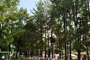 Taman Pinus Bilabong image