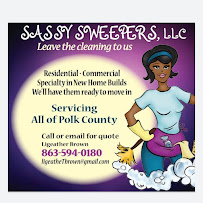 Sassy Sweepers - Photo 1 - Car repair in , Winter Haven