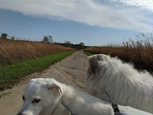 Nature Preserve «Brunner Family Forest Preserve», reviews and photos, 18N681 State Rte 31, Carpentersville, IL 60110, USA