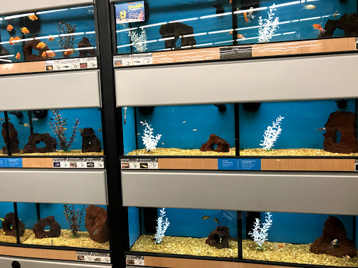 Pet Supply Store «Petco Animal Supplies», reviews and photos, 1820a W Uintah St, Colorado Springs, CO 80904, USA