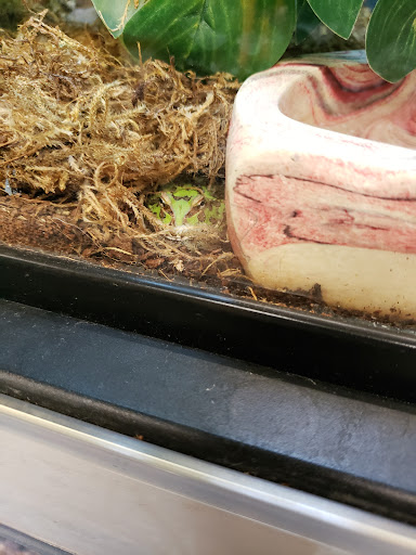 Pet Supply Store «Petco Animal Supplies», reviews and photos, 35860 Chester Rd, Avon, OH 44011, USA