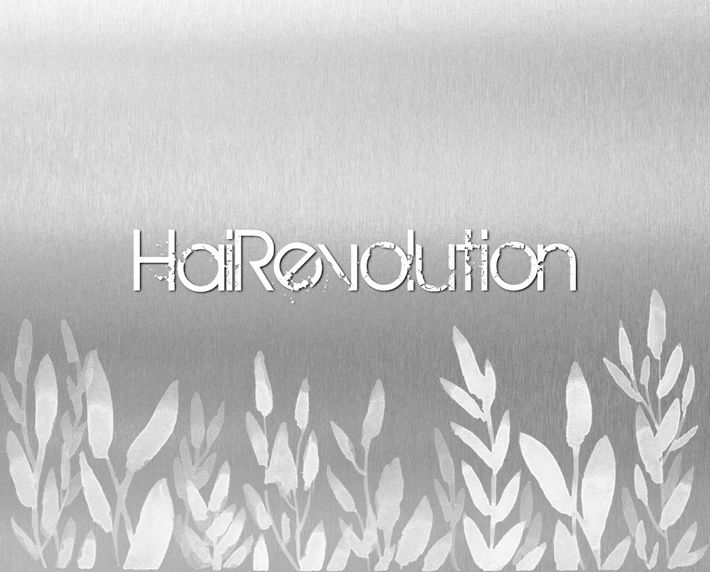 HaiRevolution Salon 55060