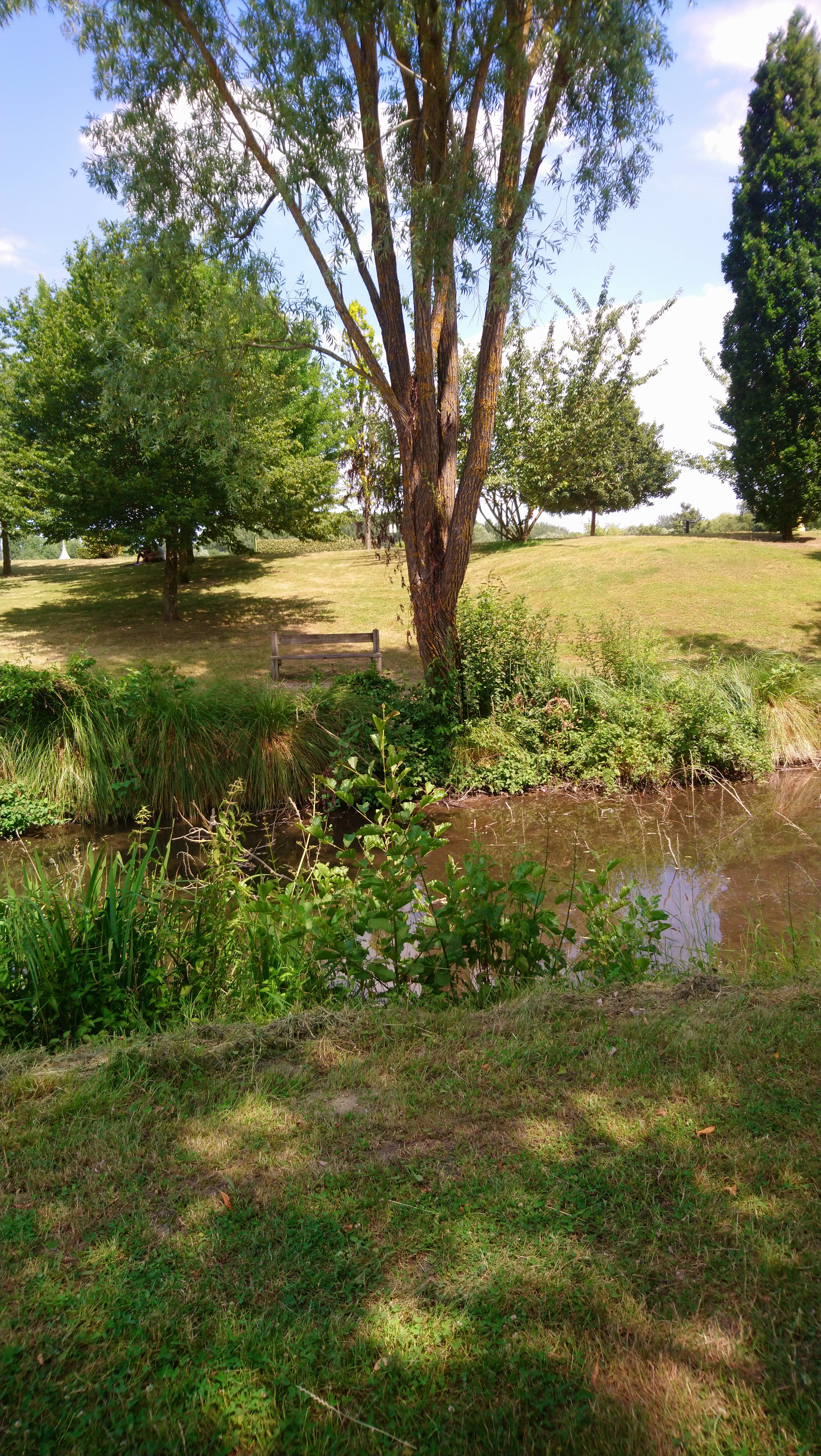 Photo n° 39 de l'avis de Lucien.e fait le 08/07/2019 à 10:52