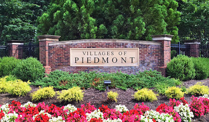 The Villages of Piedmont at Leopold's Preserve by Richmond American Homes
