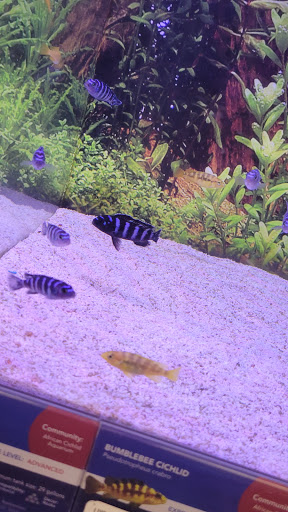 Pet Store «PetSmart», reviews and photos, 1580 Gateway Blvd, Fairfield, CA 94533, USA