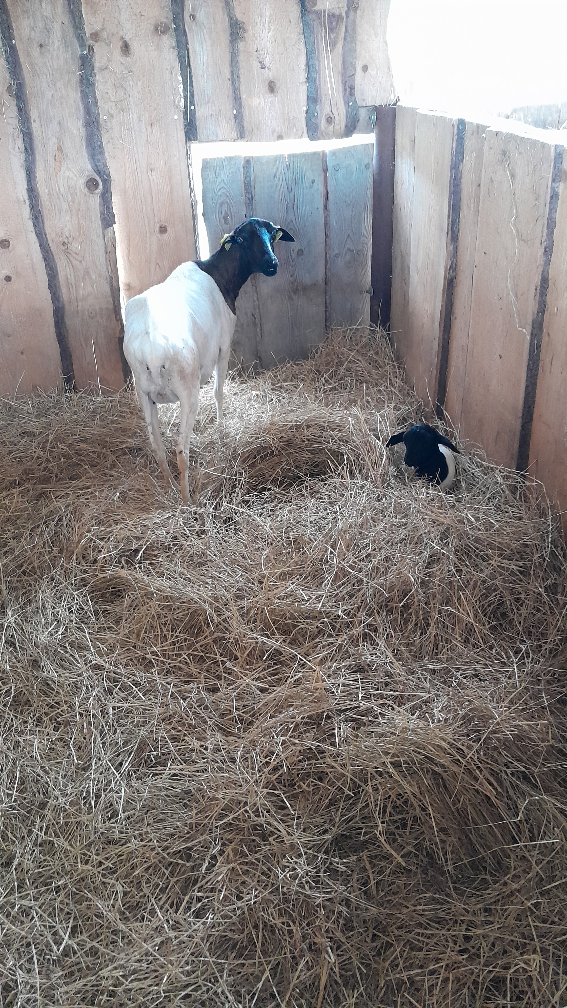 Photo n° 24 de l'avis de L'Atelier.' fait le 30/07/2023 à 12:39
