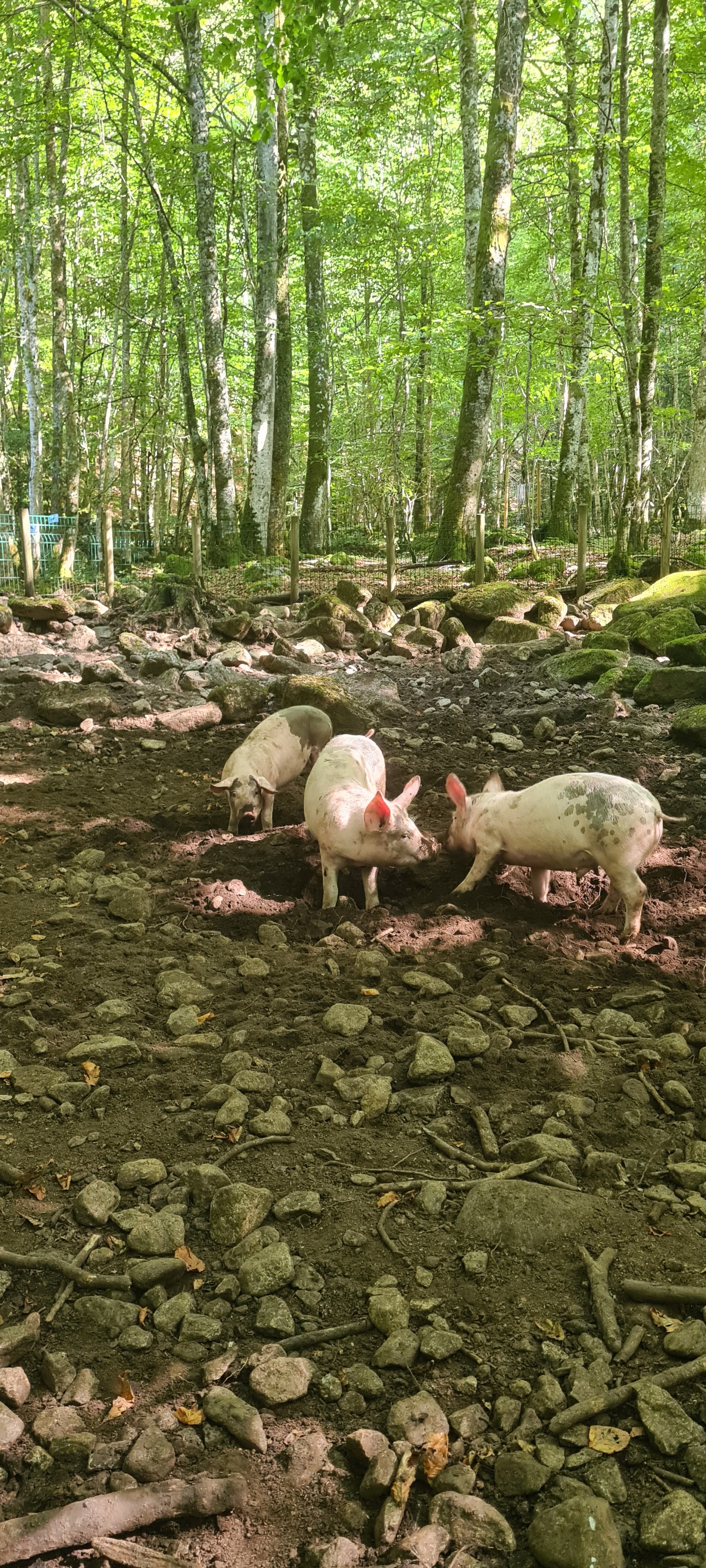 Photo n° 3 de l'avis de Caroline.7 fait le 21/08/2021 à 12:39