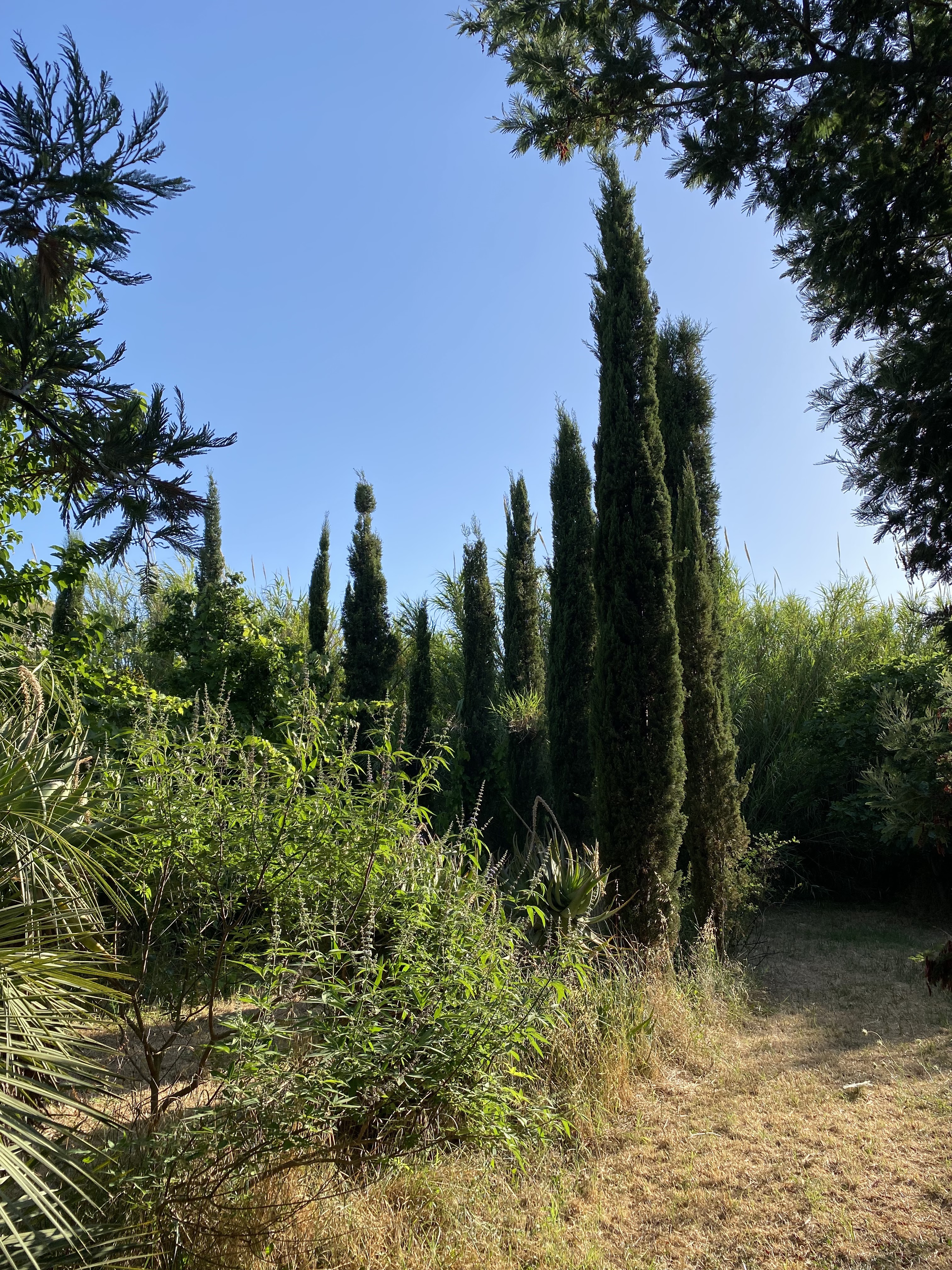Photo n° 1 de l'avis de Véronique.o fait le 23/06/2022 à 17:42