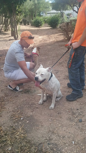 Pet Supply Store «PetSmart», reviews and photos, 857 N Val Vista Dr #106, Gilbert, AZ 85234, USA