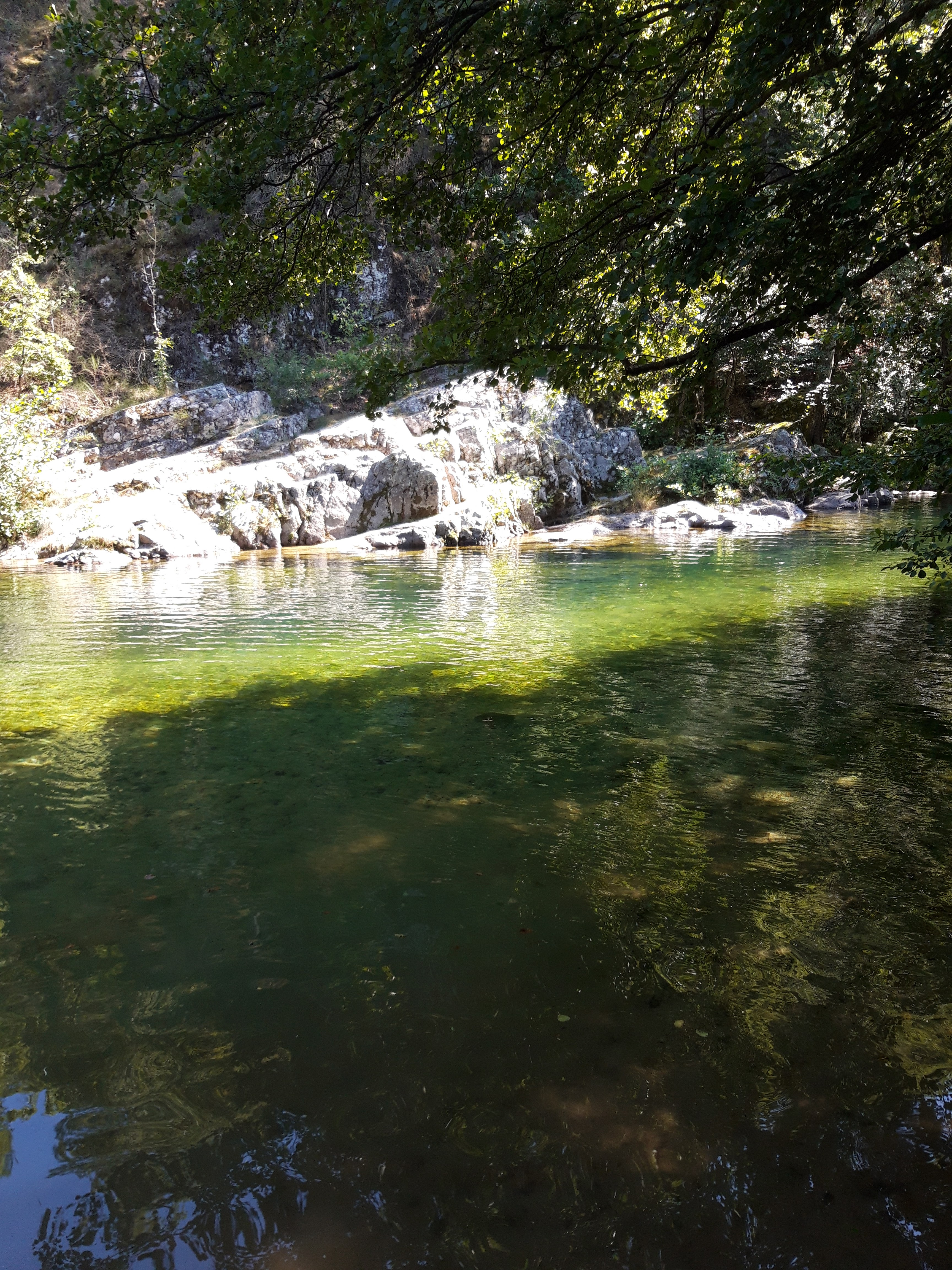 Photo n° 1 de l'avis de Jennifer.e fait le 07/08/2019 à 20:05