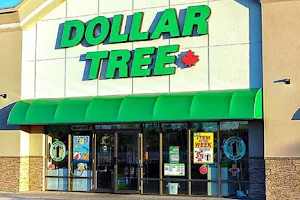 Dollar Tree image