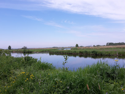 Groeneveld Tegelzetter