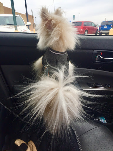 Department Store «Walmart Supercenter», reviews and photos, 2485 IA-92, Washington, IA 52353, USA