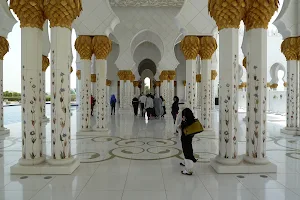 Sheikh Zayed Mosque image