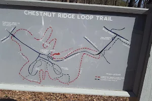 Chestnut Ridge Trail image