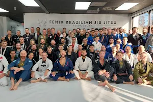 Fenix Brazilian Jiu Jitsu image