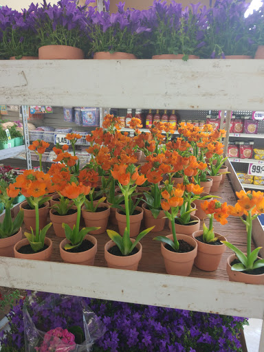 Discount Store «99 Cents Only Stores», reviews and photos, 22631 Lake Forest Dr, Lake Forest, CA 92630, USA