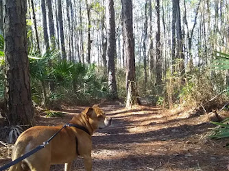 Laura S. Walker State Park