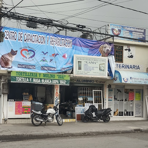 Servicio de guardería para gatos Cuautitlán Izcalli