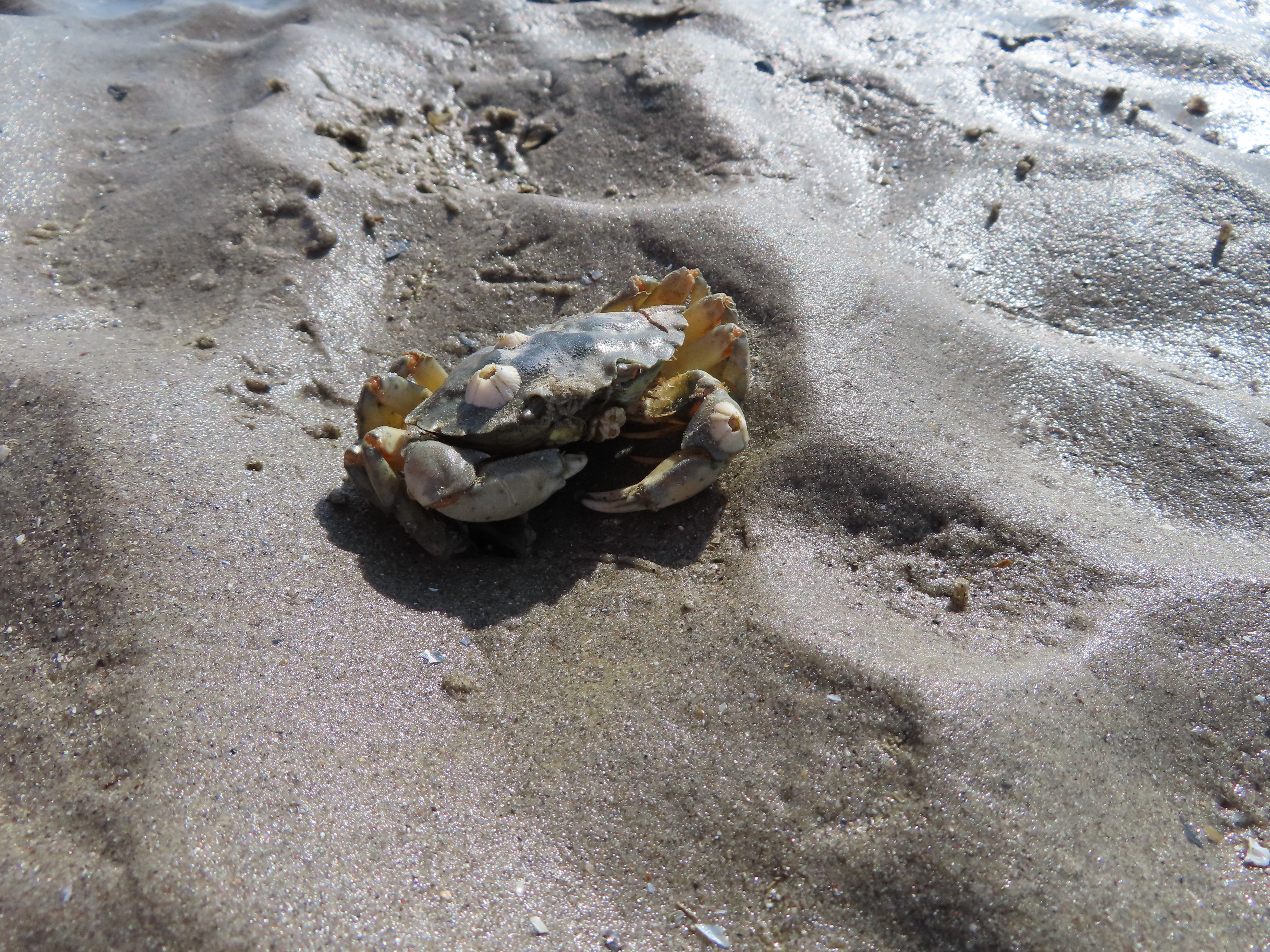 Photo n° 4 de l'avis de steffen.a fait le 21/07/2022 à 15:13