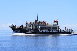 Moby Dick Tours image